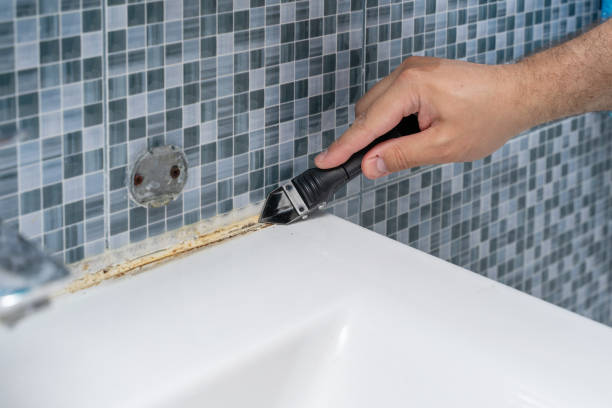 Best Professional Mold Removal  in Lamar, CO