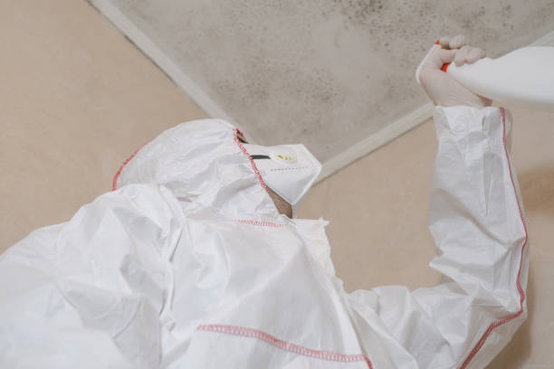 Best Certified Mold Removal  in Lamar, CO