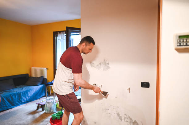 Best Mold Inspection  in Lamar, CO